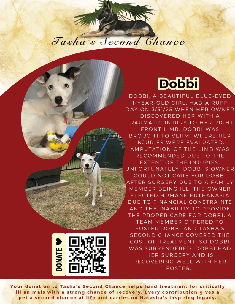 Dobbi